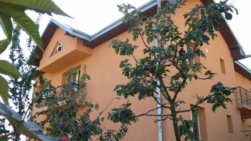 Lary Hostel Suceava Exterior foto