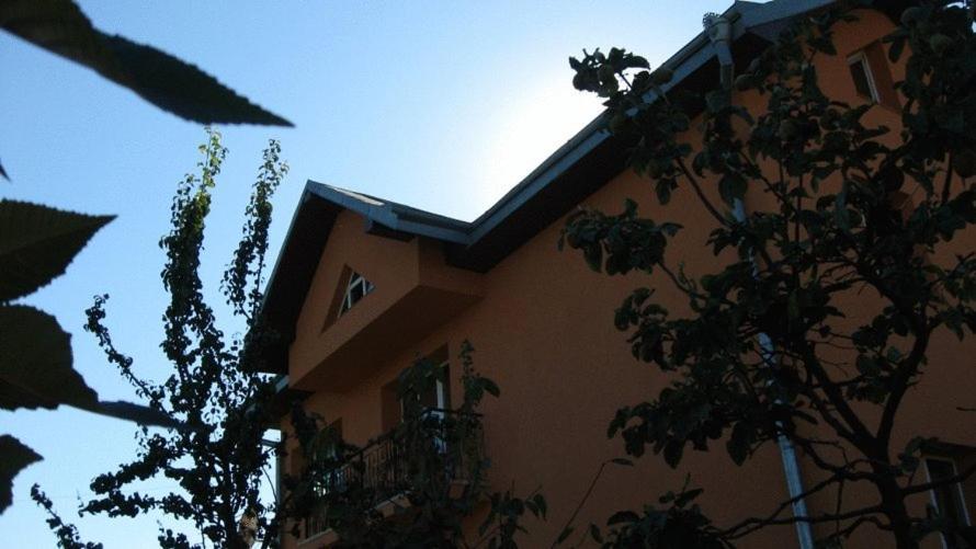 Lary Hostel Suceava Exterior foto
