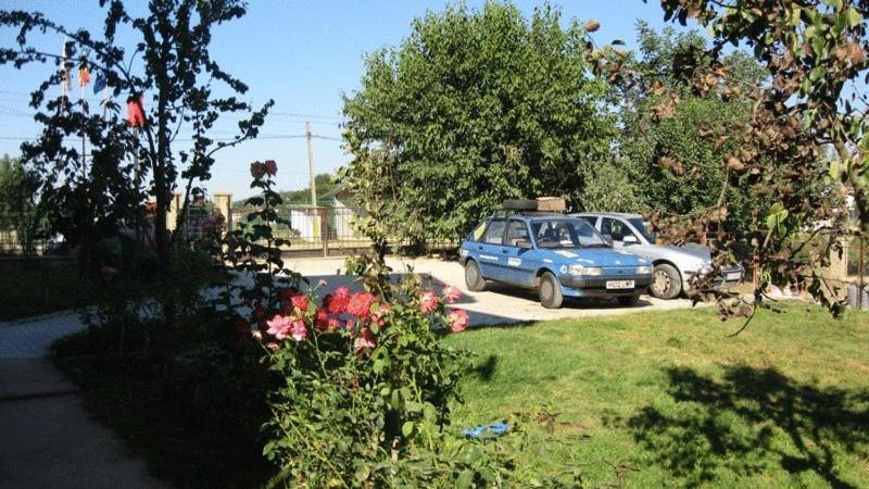 Lary Hostel Suceava Exterior foto