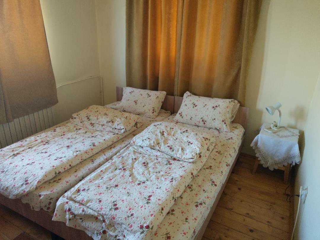 Lary Hostel Suceava Exterior foto