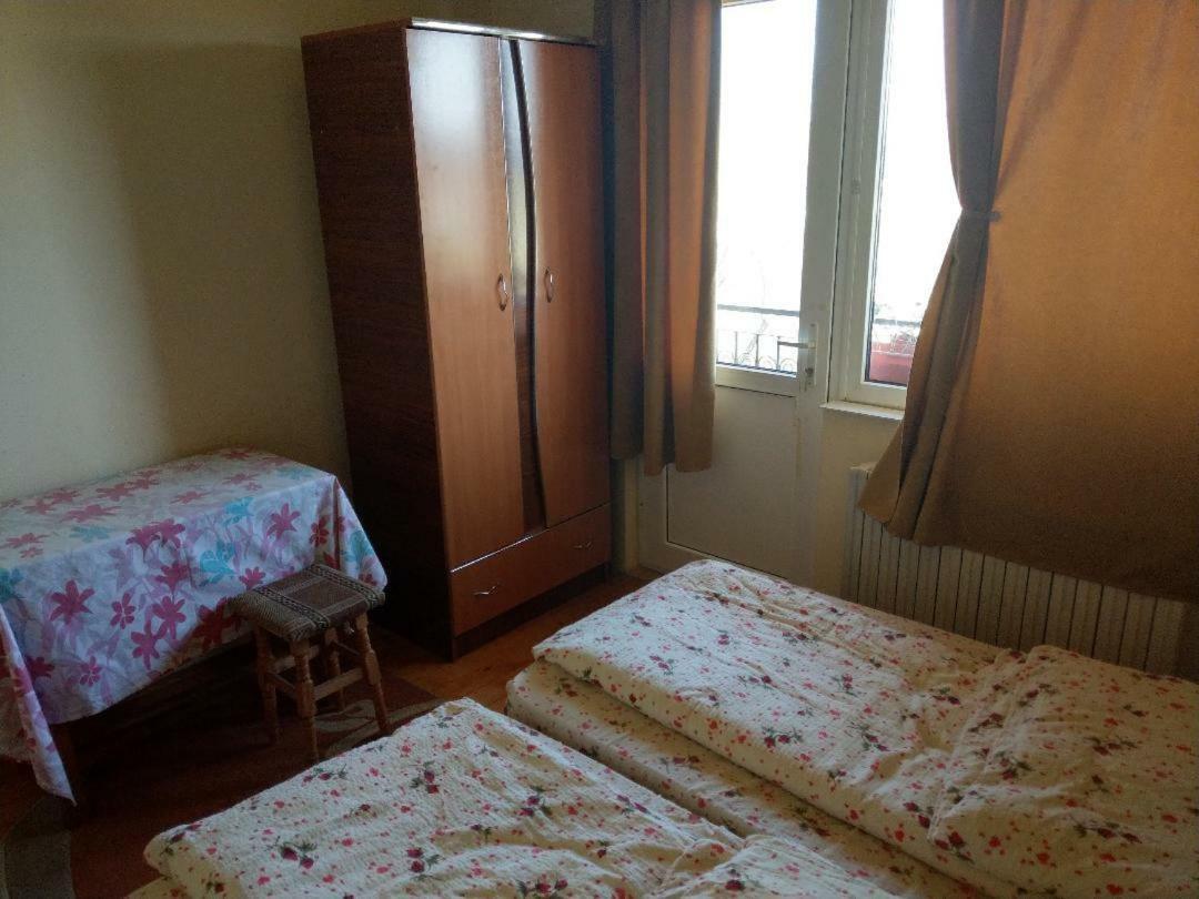 Lary Hostel Suceava Exterior foto